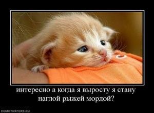 http://cs1535.vkontakte.ru/u21040538/98963456/x_b068e84c.jpg